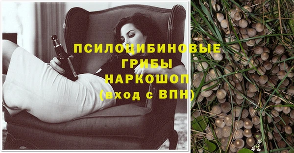 ECSTASY Алексеевка