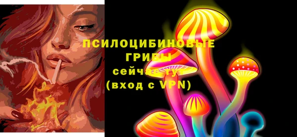 мескалин Алексин