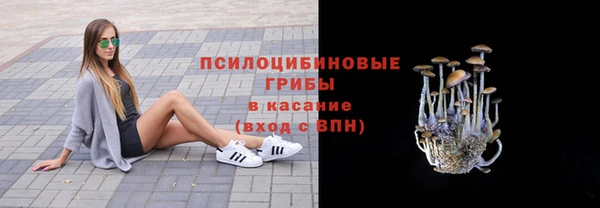 прущая мука Алзамай