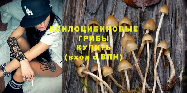 прущая мука Алзамай